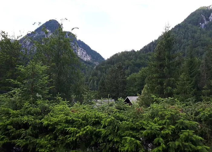 Prázdninový dům House Jasna *